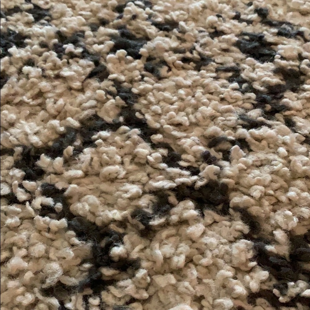 3x5 Wayfair Rug - Picture 2 of 3
